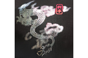 Land of Dragons