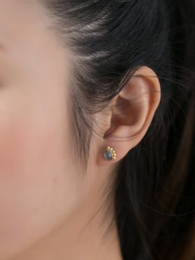 Precious Paw Studs