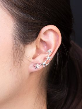 Spangled Ear Climbers