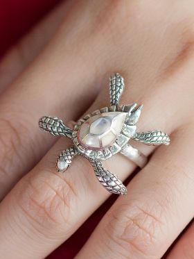 Sterling Sea Turtles