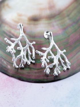 Thicket Studs