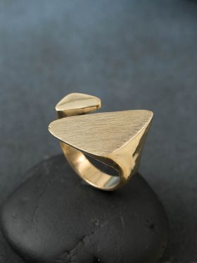 Pleine Ring