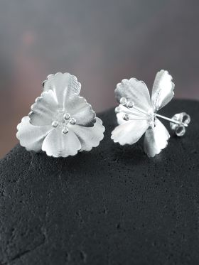 Assaye Studs