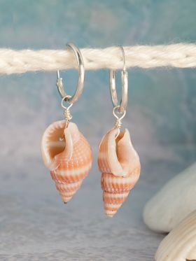 Conch Earrings