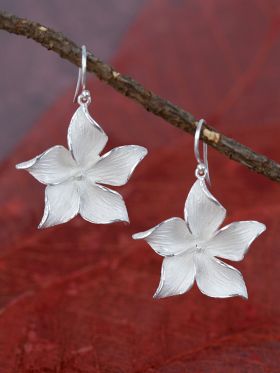 Springstar Earring