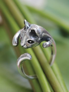 Felix Ring