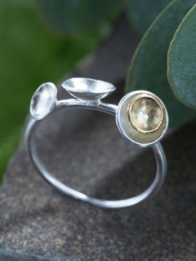 Sonic Ring
