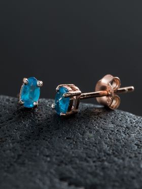Bermuda Studs