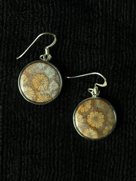 Circle Coral Goldenrod Earrings