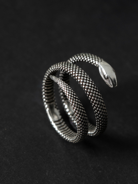 Python Ring