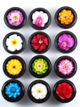 Carved Soap Flowers Set Of 12