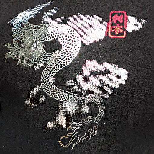 Land of Dragons