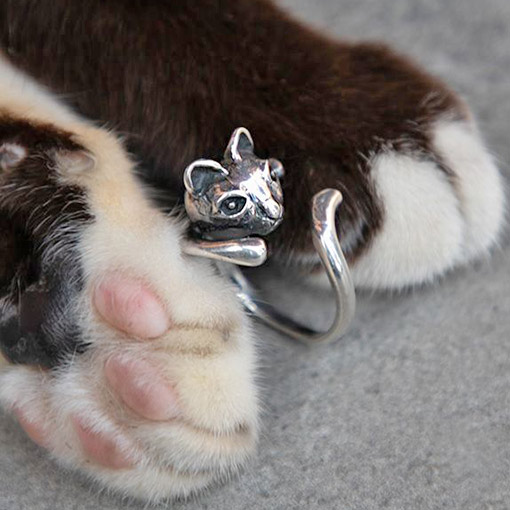 Cats World