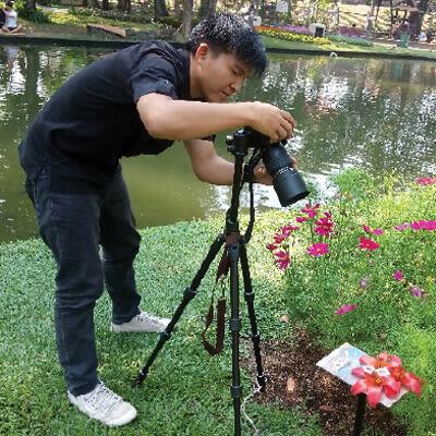 Eastern Serenity Activity