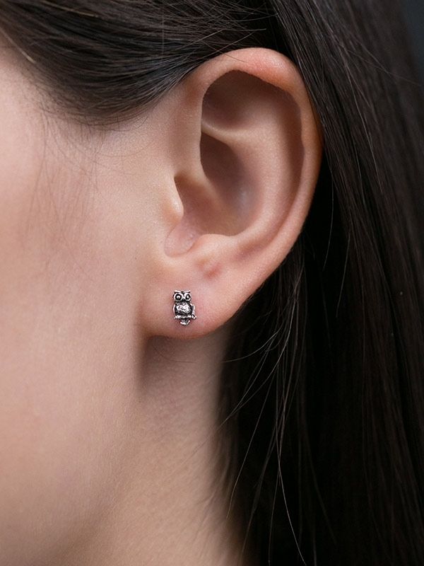 Owl Studs