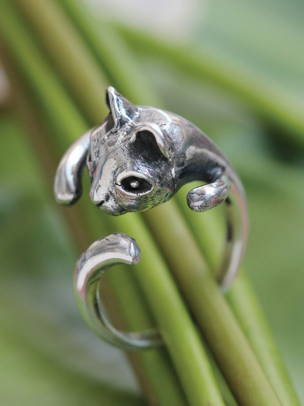 Felix Ring